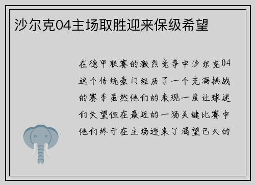 沙尔克04主场取胜迎来保级希望