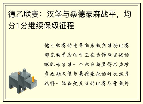 德乙联赛：汉堡与桑德豪森战平，均分1分继续保级征程